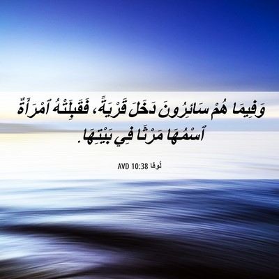 Picture 06 - لُوقا 10:38 AVD - وَفِيمَا هُمْ سَائِرُونَ - Bible Verse Picture