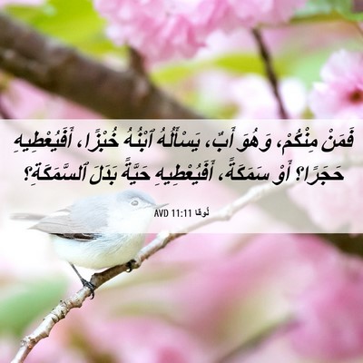 Picture 06 - لُوقا 11:11 AVD - فَمَنْ مِنْكُمْ، وَهُوَ - Bible Verse Picture