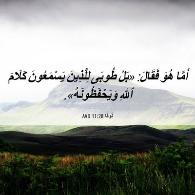 Picture 06 - لُوقا 11:28 AVD - أَمَّا هُوَ فَقَالَ: «بَلْ - Bible Verse Picture