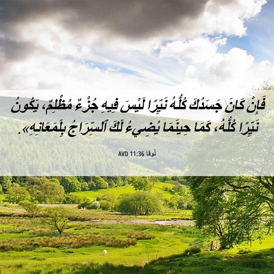 Picture 06 - لُوقا 11:36 AVD - فَإِنْ كَانَ جَسَدُكَ - Bible Verse Picture