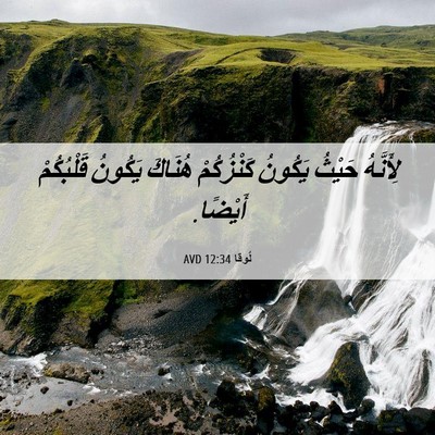 Picture 06 - لُوقا 12:34 AVD - لِأَنَّهُ حَيْثُ يَكُونُ - Bible Verse Picture