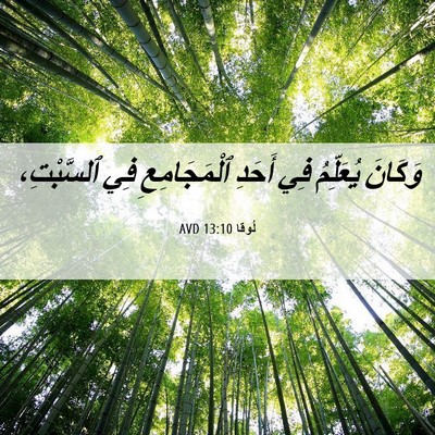 Picture 06 - لُوقا 13:10 AVD - وَكَانَ يُعَلِّمُ فِي - Bible Verse Picture