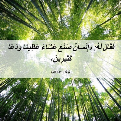 Picture 06 - لُوقا 14:16 AVD - فَقَالَ لَهُ: «إِنْسَانٌ - Bible Verse Picture