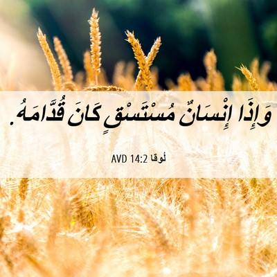 Picture 06 - لُوقا 14:2 AVD - وَإِذَا إِنْسَانٌ - Bible Verse Picture