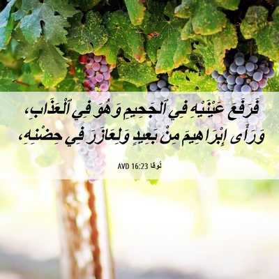 Picture 06 - لُوقا 16:23 AVD - فَرَفَعَ عَيْنَيْهِ فِي - Bible Verse Picture