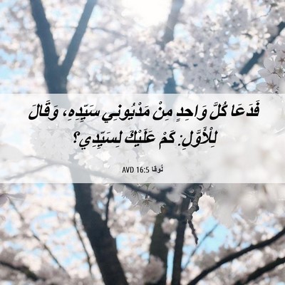 Picture 06 - لُوقا 16:5 AVD - فَدَعَا كُلَّ وَاحِدٍ مِنْ - Bible Verse Picture