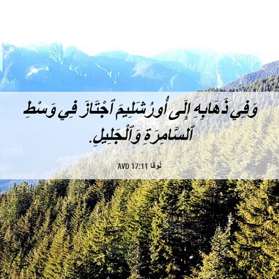 Picture 06 - لُوقا 17:11 AVD - وَفِي ذَهَابِهِ إِلَى - Bible Verse Picture