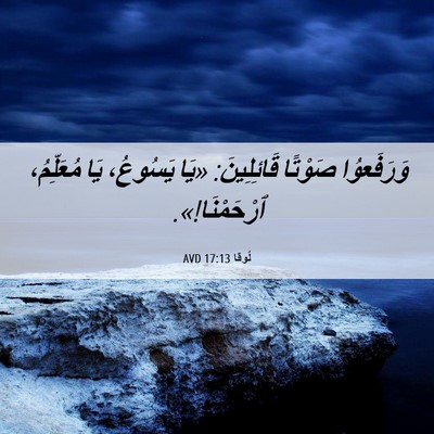 Picture 06 - لُوقا 17:13 AVD - وَرَفَعوُا صَوْتًا - Bible Verse Picture