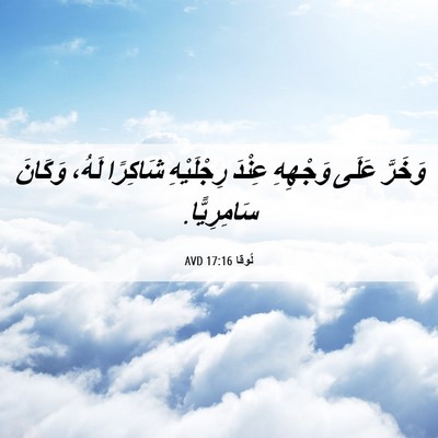 Picture 06 - لُوقا 17:16 AVD - وَخَرَّ عَلَى وَجْهِهِ - Bible Verse Picture