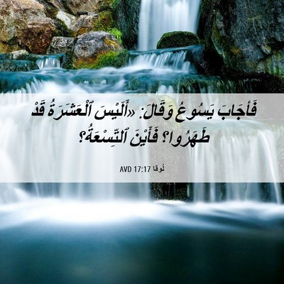Picture 06 - لُوقا 17:17 AVD - فَأجَابَ يَسُوعُ وَقَالَ: - Bible Verse Picture