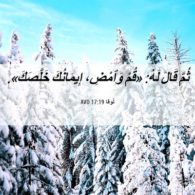 Picture 06 - لُوقا 17:19 AVD - ثُمَّ قَالَ لَهُ: «قُمْ - Bible Verse Picture