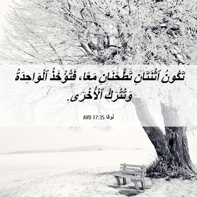 Picture 06 - لُوقا 17:35 AVD - تَكُونُ ٱثْنَتَانِ - Bible Verse Picture