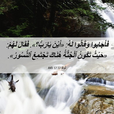Picture 06 - لُوقا 17:37 AVD - فَأَجَابوا وَقَالُوا لَهُ: - Bible Verse Picture