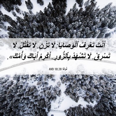 Picture 06 - لُوقا 18:20 AVD - أَنْتَ تَعْرِفُ - Bible Verse Picture