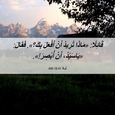 Picture 06 - لُوقا 18:41 AVD - قَائِلًا: «مَاذَا تُرِيدُ - Bible Verse Picture