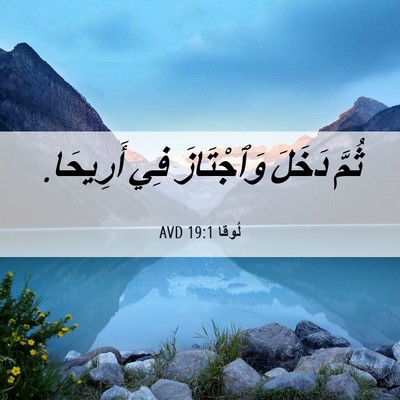 Picture 06 - لُوقا 19:1 AVD - ثُمَّ دَخَلَ وَٱجْتَازَ - Bible Verse Picture