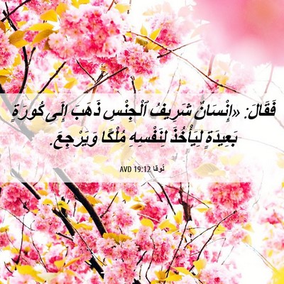 Picture 06 - لُوقا 19:12 AVD - فَقَالَ: «إِنْسَانٌ - Bible Verse Picture