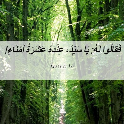 Picture 06 - لُوقا 19:25 AVD - فَقَالُوا لَهُ: يَا - Bible Verse Picture
