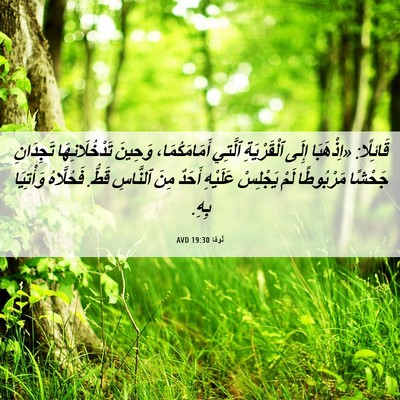 Picture 06 - لُوقا 19:30 AVD - قَائِلًا: «اِذْهَبَا إِلَى - Bible Verse Picture