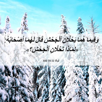 Picture 06 - لُوقا 19:33 AVD - وَفِيمَا هُمَا يَحُلَّانِ - Bible Verse Picture
