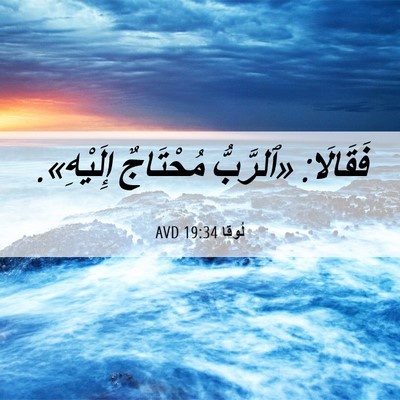 Picture 06 - لُوقا 19:34 AVD - فَقَالَا: «ٱلرَّبُّ - Bible Verse Picture