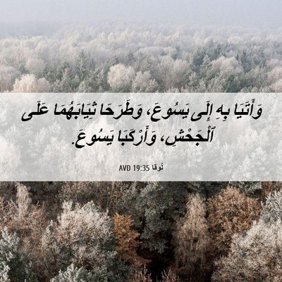 Picture 06 - لُوقا 19:35 AVD - وَأَتَيَا بِهِ إِلَى - Bible Verse Picture