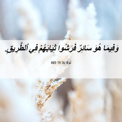 Picture 06 - لُوقا 19:36 AVD - وَفِيمَا هُوَ سَائِرٌ - Bible Verse Picture