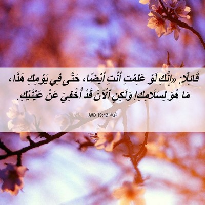 Picture 06 - لُوقا 19:42 AVD - قَائِلًا: «إِنَّكِ لَوْ - Bible Verse Picture