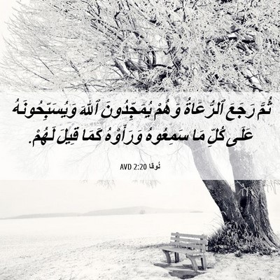 Picture 06 - لُوقا 2:20 AVD - ثُمَّ رَجَعَ ٱلرُّعَاةُ - Bible Verse Picture