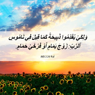 Picture 06 - لُوقا 2:24 AVD - وَلِكَيْ يُقَدِّمُوا - Bible Verse Picture