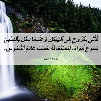 Picture 06 - لُوقا 2:27 AVD - فَأَتَى بِٱلرُّوحِ إِلَى - Bible Verse Picture