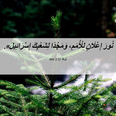Picture 06 - لُوقا 2:32 AVD - نُورَ إِعْلَانٍ - Bible Verse Picture