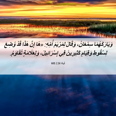 Picture 06 - لُوقا 2:34 AVD - وَبَارَكَهُمَا سِمْعَانُ، - Bible Verse Picture