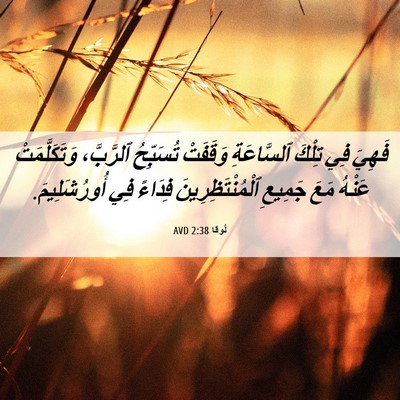 Picture 06 - لُوقا 2:38 AVD - فَهِيَ فِي تِلْكَ - Bible Verse Picture