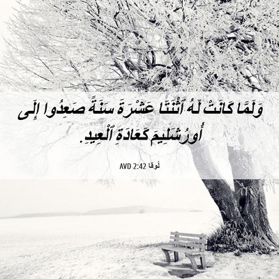Picture 06 - لُوقا 2:42 AVD - وَلَمَّا كَانَتْ لَهُ - Bible Verse Picture