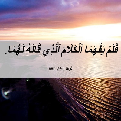 Picture 06 - لُوقا 2:50 AVD - فَلَمْ يَفْهَمَا - Bible Verse Picture