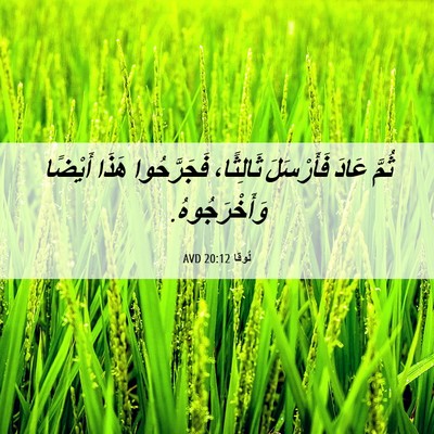 Picture 06 - لُوقا 20:12 AVD - ثُمَّ عَادَ فَأَرْسَلَ - Bible Verse Picture