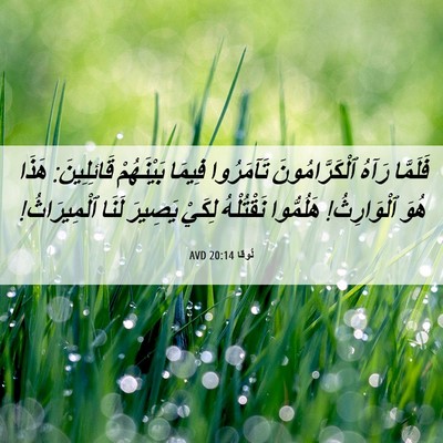 Picture 06 - لُوقا 20:14 AVD - فَلَمَّا رَآهُ - Bible Verse Picture