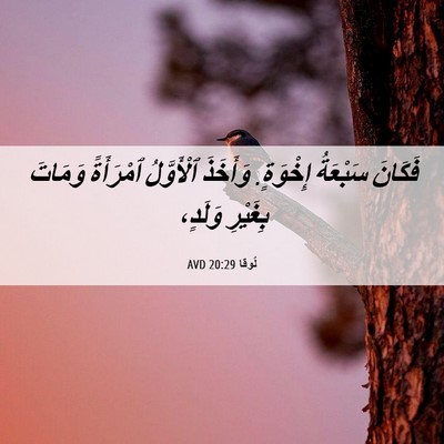 Picture 06 - لُوقا 20:29 AVD - فَكَانَ سَبْعَةُ إِخْوَةٍ. - Bible Verse Picture