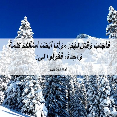 Picture 06 - لُوقا 20:3 AVD - فَأَجَابَ وَقَالَ لَهُمْ: - Bible Verse Picture