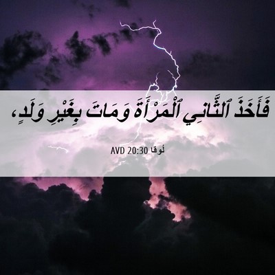 Picture 06 - لُوقا 20:30 AVD - فَأَخَذَ ٱلثَّانِي - Bible Verse Picture