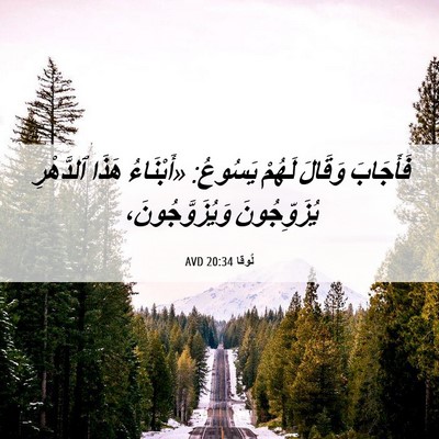 Picture 06 - لُوقا 20:34 AVD - فَأَجَابَ وَقَالَ لَهُمْ - Bible Verse Picture