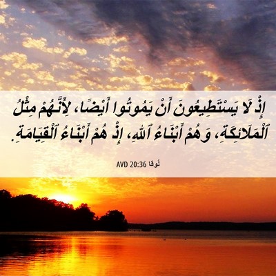 Picture 06 - لُوقا 20:36 AVD - إِذْ لَا يَسْتَطِيعُونَ - Bible Verse Picture