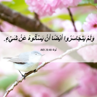 Picture 06 - لُوقا 20:40 AVD - وَلَمْ يَتَجَاسَرُوا - Bible Verse Picture
