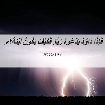 Picture 06 - لُوقا 20:44 AVD - فَإِذًا دَاوُدُ يَدْعُوهُ - Bible Verse Picture