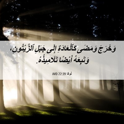 Picture 06 - لُوقا 22:39 AVD - وَخَرَجَ وَمَضَى - Bible Verse Picture