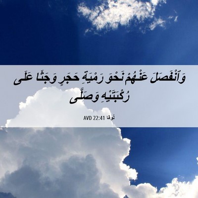 Picture 06 - لُوقا 22:41 AVD - وَٱنْفَصَلَ عَنْهُمْ - Bible Verse Picture
