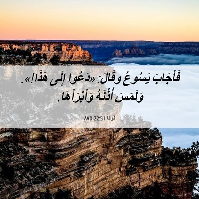 Picture 06 - لُوقا 22:51 AVD - فَأَجَابَ يَسُوعُ وقَالَ: - Bible Verse Picture