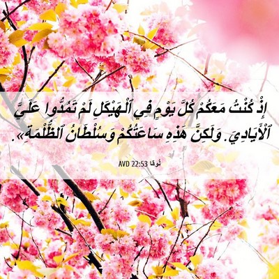 Picture 06 - لُوقا 22:53 AVD - إِذْ كُنْتُ مَعَكُمْ كُلَّ - Bible Verse Picture