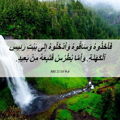 Picture 06 - لُوقا 22:54 AVD - فَأَخَذُوهُ وَسَاقُوهُ - Bible Verse Picture